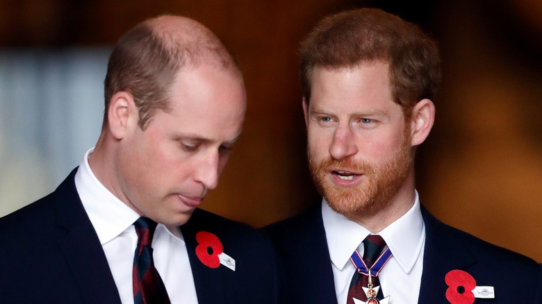 Princes William and Harry at an event. 