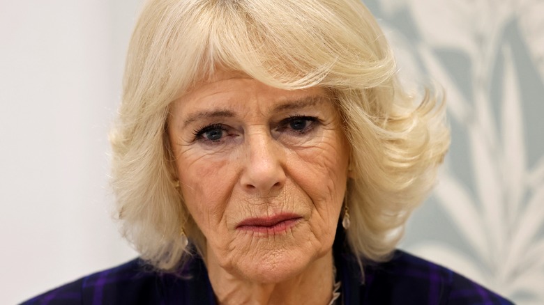 Camilla Parker Bowles looking contemplative