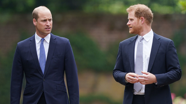 Princes William and Harry at Diana's statue unveiling