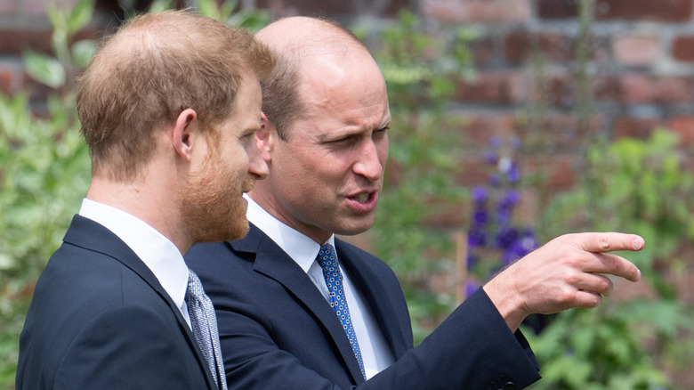 Prince William and Prince Harry honor Princess Diana.