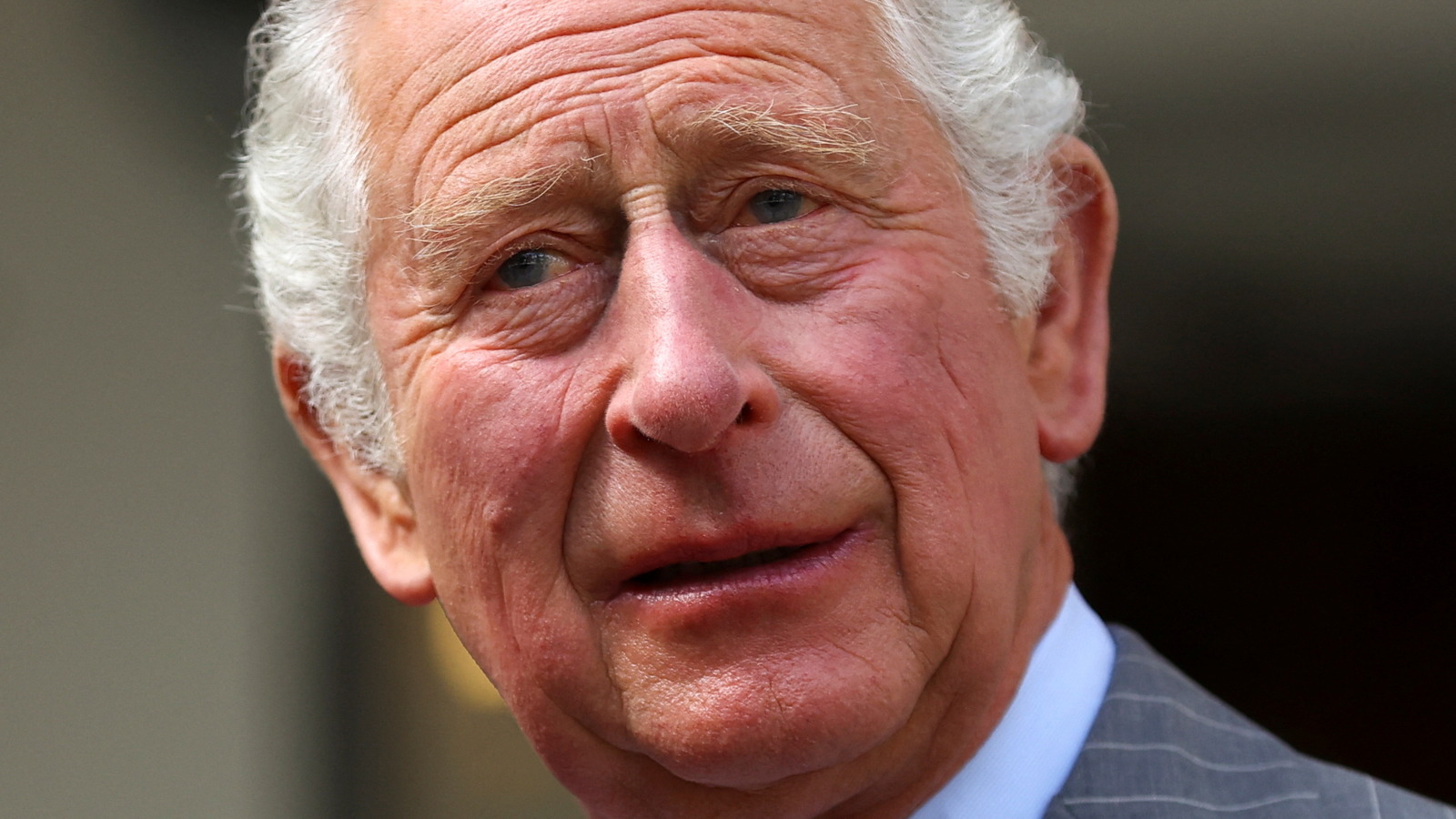 Royal Expert Explains Why Prince Charles Will Need Meghan And Harry ...