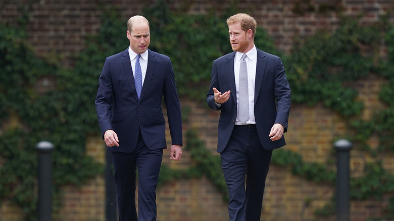 Prince William and Prince Harry talking