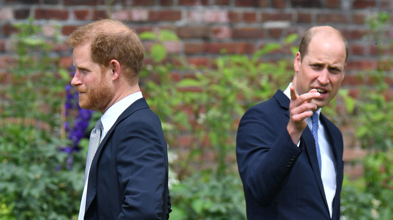 Prince William and Harry standing outside