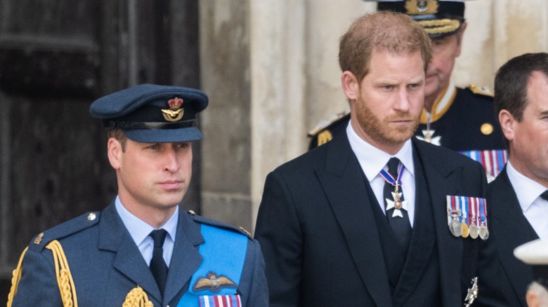 Prince William and Prince Harry