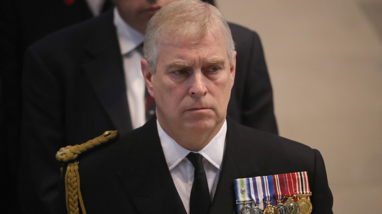 Prince Andrew posing 