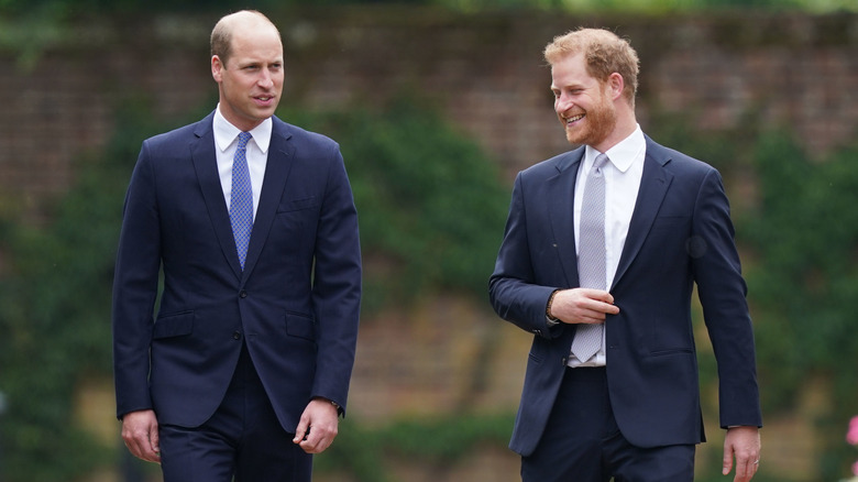 Prince Harry and Prince William at a royal event 