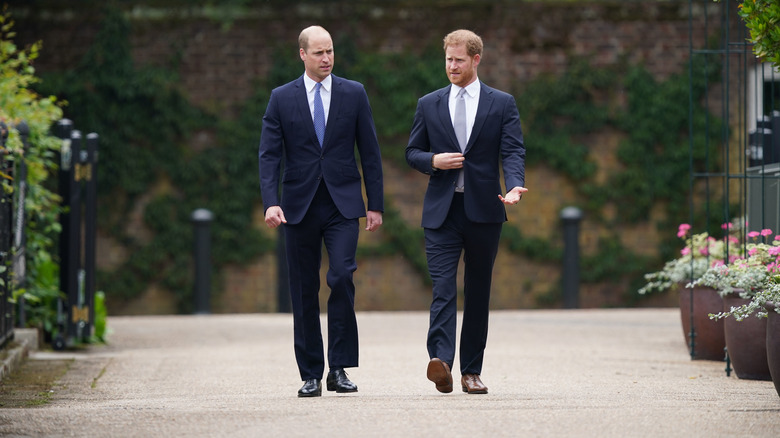 Prince William and Prince Harry walking together in a garden