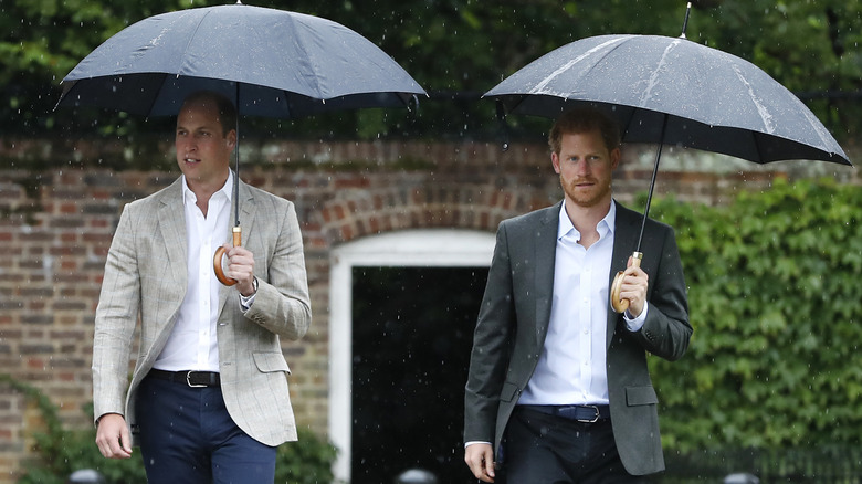 Princes William and Harry look sad under umbrellas