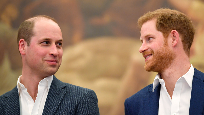 Prince William and brother Prince Harry 
