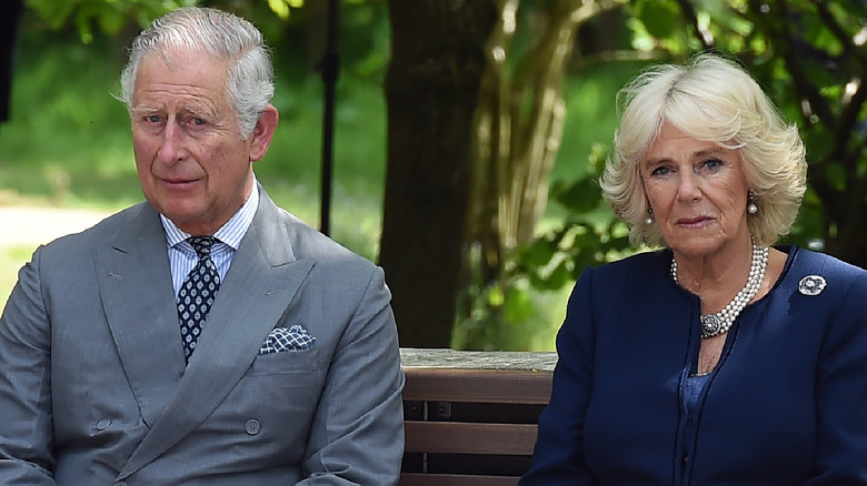 king charles III and Camilla