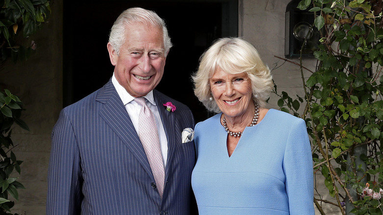 Royal Expert Says Queen Camilla's Coronation Crown Choice Has More ...