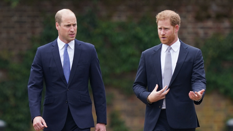 Prince William and Prince Harry talking 