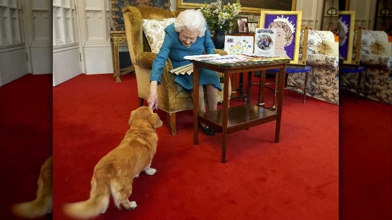 Queen Elizabeth II and her dorgi named Candy