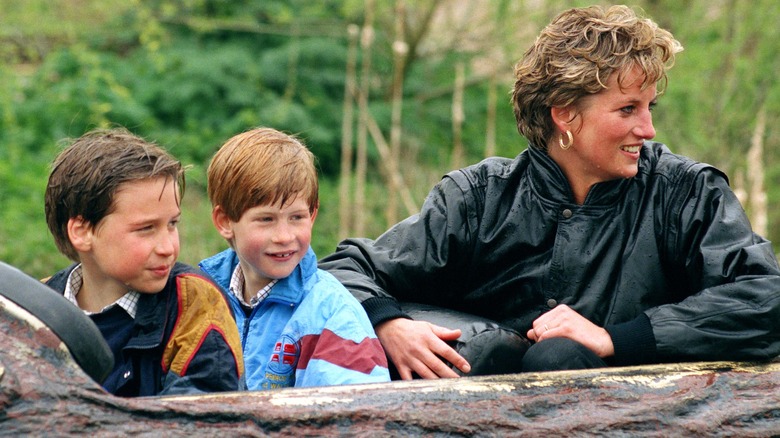 William, Harry, and Diana