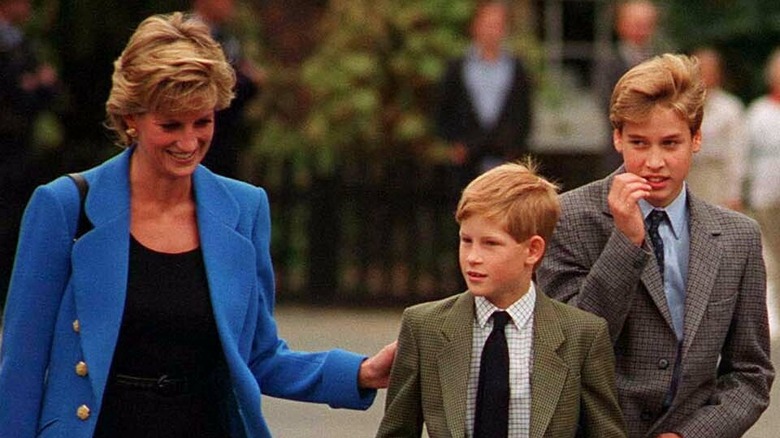 Princess Diana with Prince William and Prince Harry