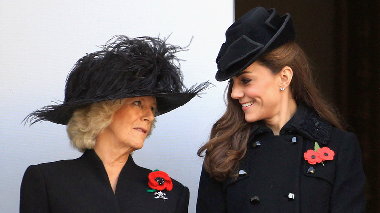 Camilla and Kate at an event 
