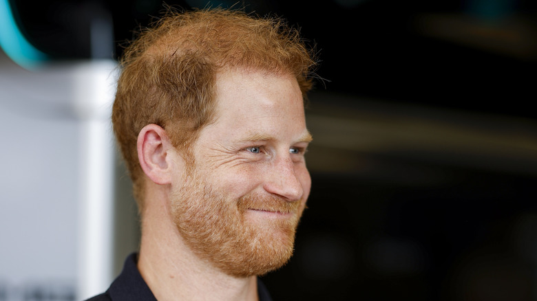 Prince Harry speaks into a microphone