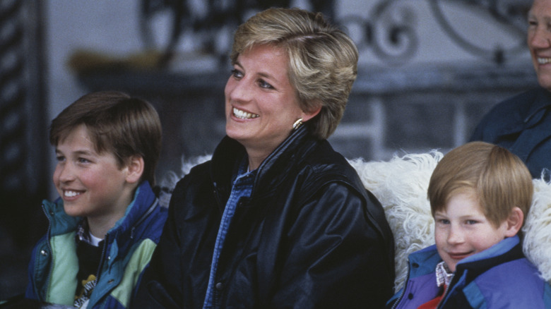 Princess Diana and Princes William and Harry 