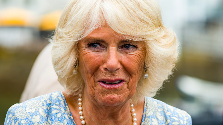 Camilla Parker Bowles smiling