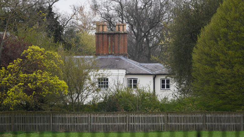 Frogmore cottage through the trees