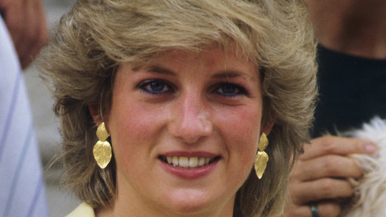 Royal Source Reveals How A Young Prince William Supported Princess ...