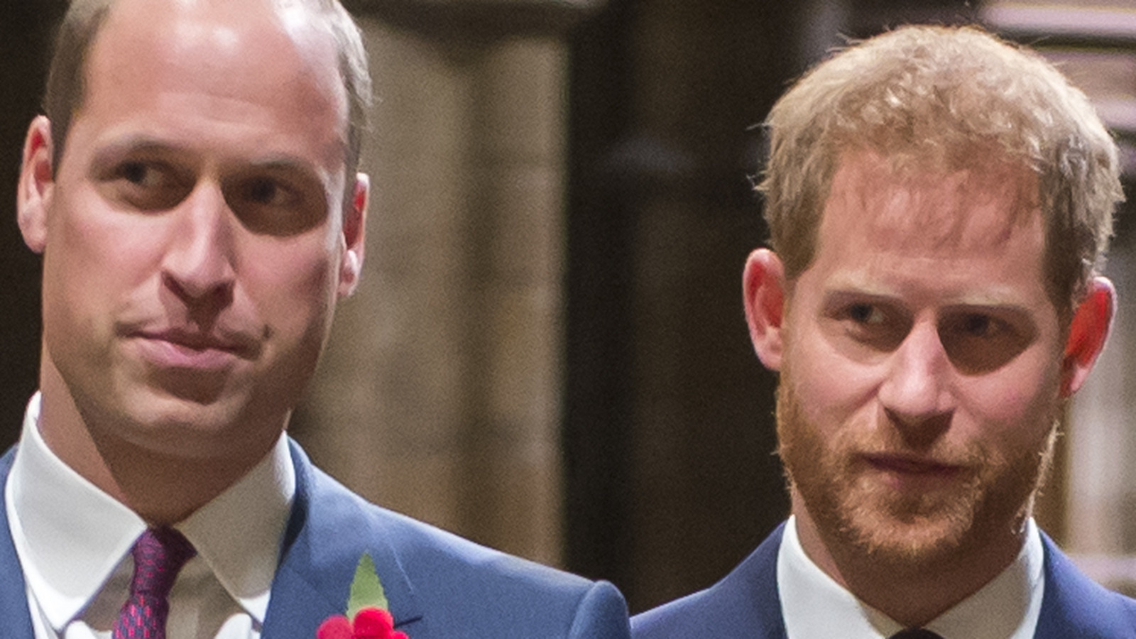 Royal Expert Suggests A Sad Truth Behind Prince William And Prince ...