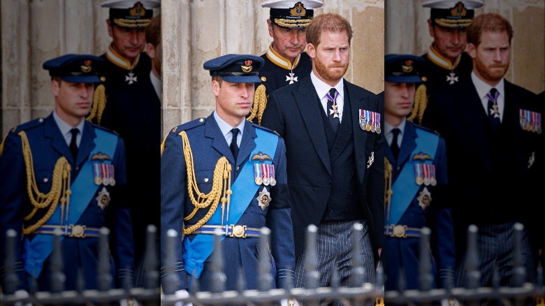 Prince William and Prince Harry together