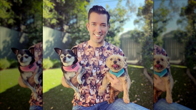 jonathan scott holding his dogs