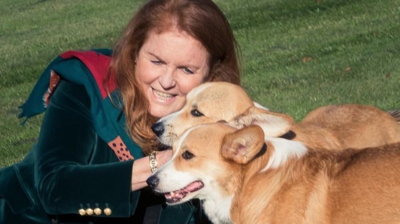 Sarah Ferguson hugging corgis