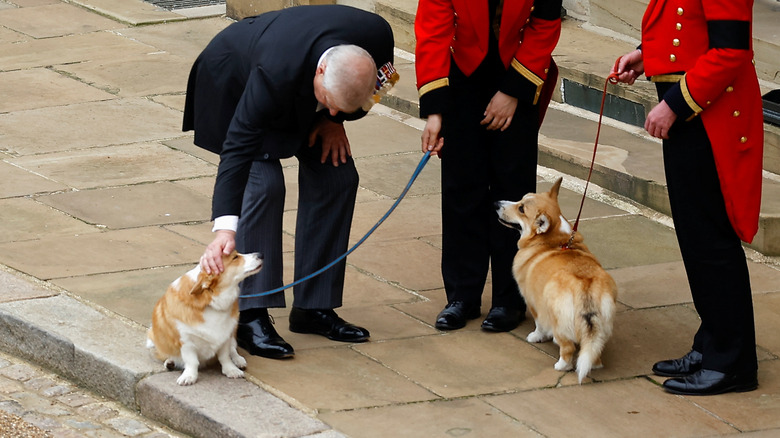 Prince Andrew with corgis Sandy and Muick