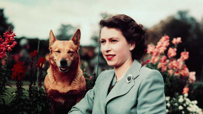 Queen Elizabeth II and a corgi 