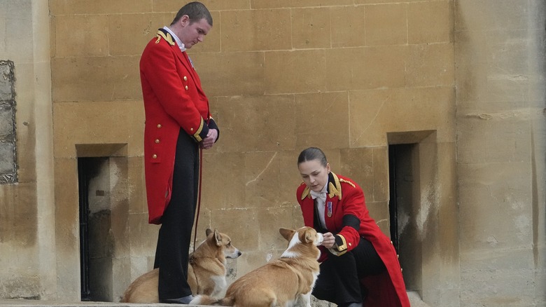 Queen's corgis at funeral