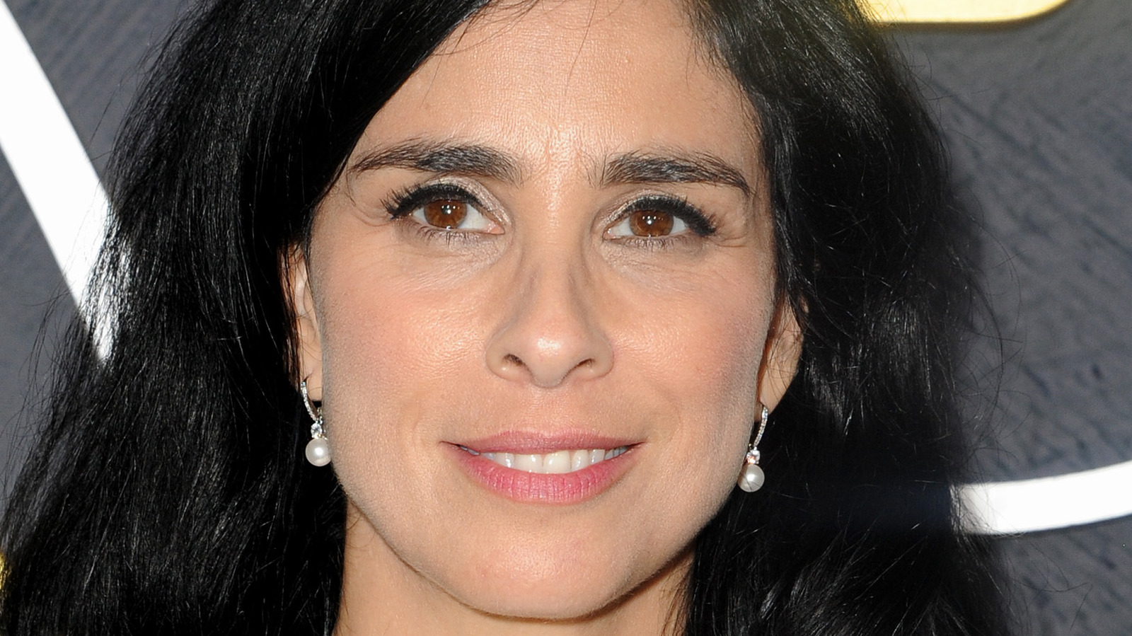 Sarah Silverman's Admission About Her Relationship Proves She Has A ...