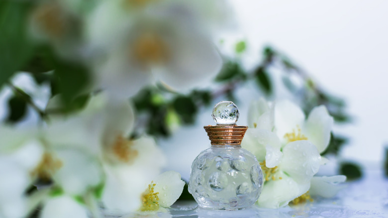 Scents That Surprisingly Make Women More Attractive To Men