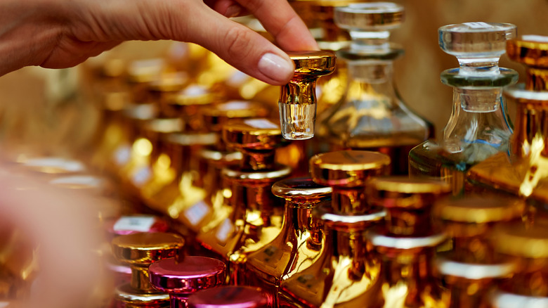 woman selecting a musk perfume