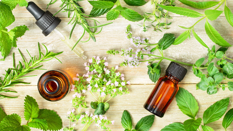 natural remedy peppermint oil
