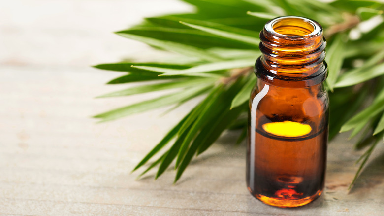 natural remedy tea tree oil