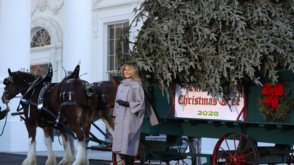 Melania Trump and the Christmas Tree