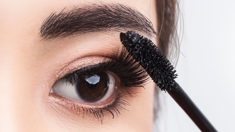 Close-up of woman with full lashes applying mascara