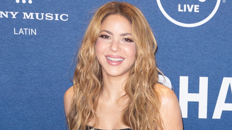 Shakira on the red carpet