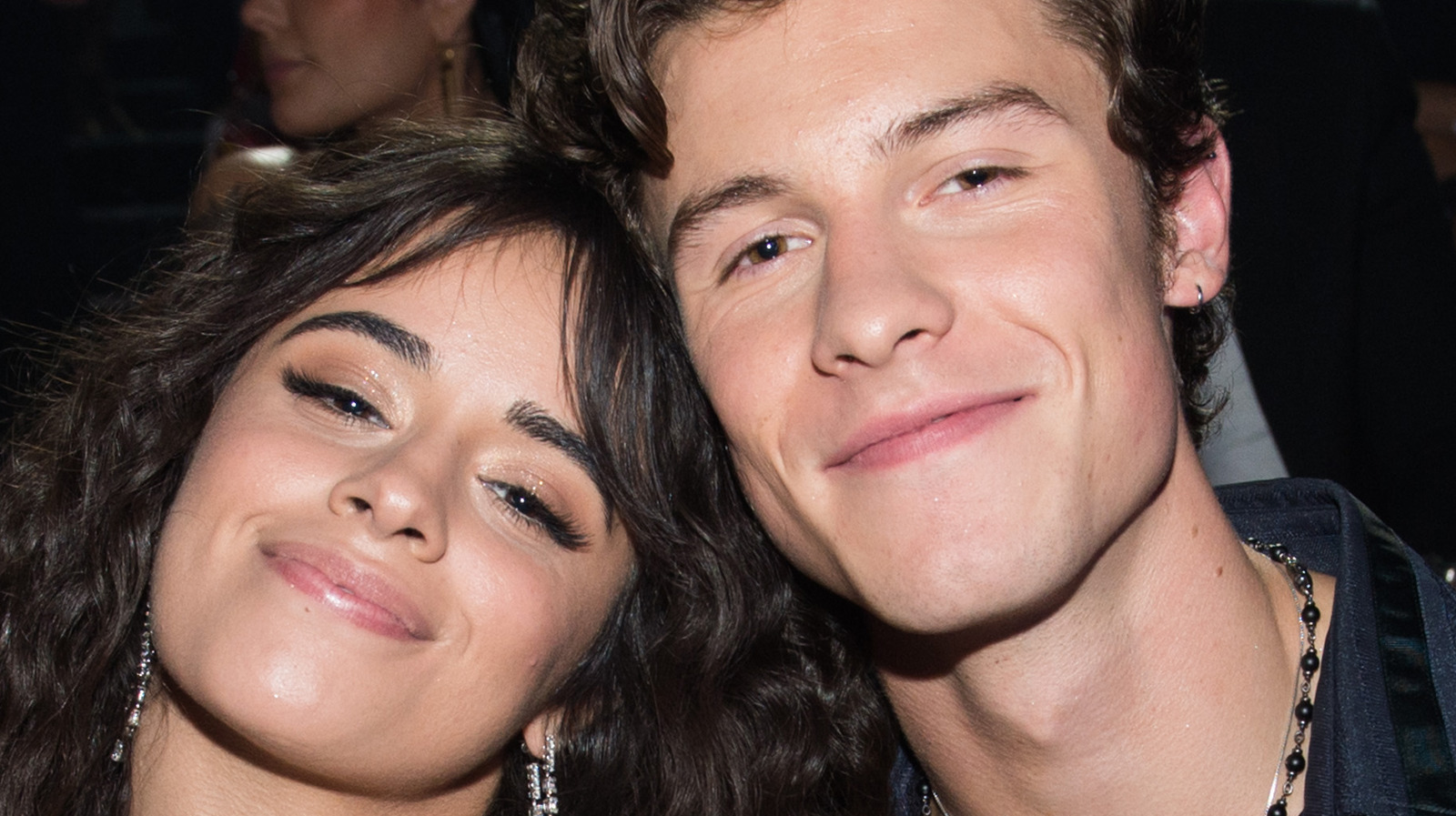 Shawn Mendes And Camila Cabello Share A Heartbreaking Update With Fans