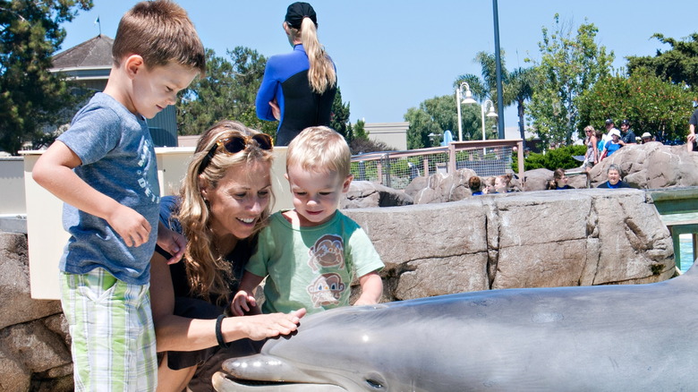 Sheryl Crow petting a dolphin with her young sons