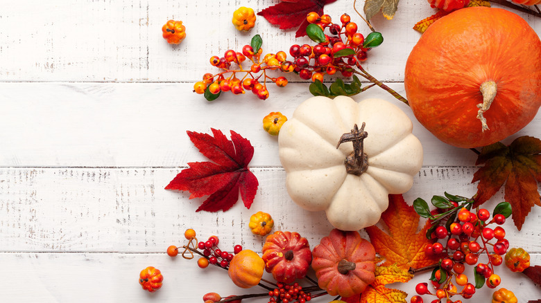 Fall decor on white background