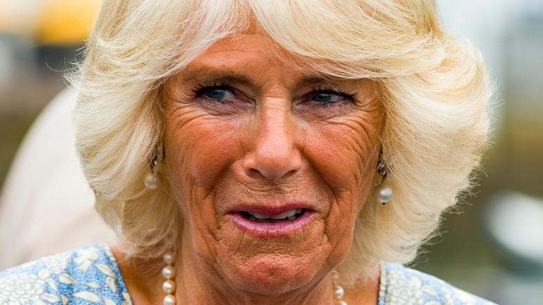 Camilla Parker Bowles