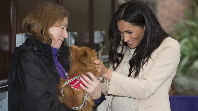 Meghan Markle petting dog