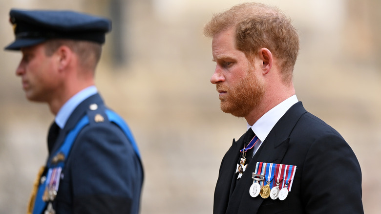 Prince Harry looking morbid with Prince William in the background