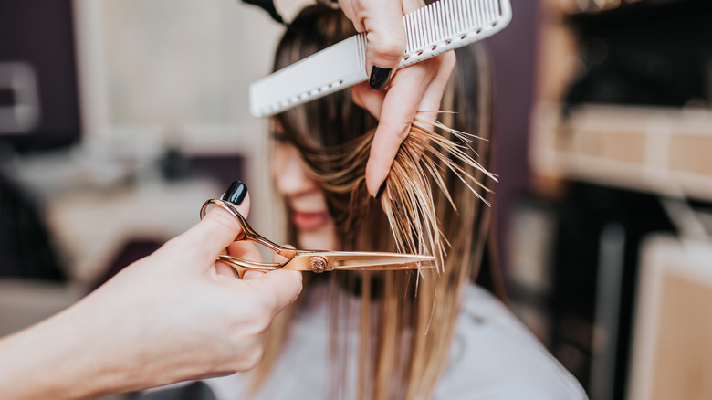 Hair trim closeup