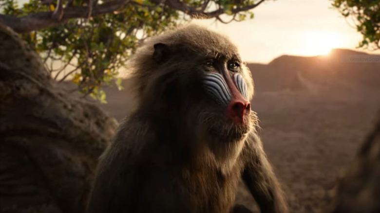 Rafiki in 2019's The Lion King