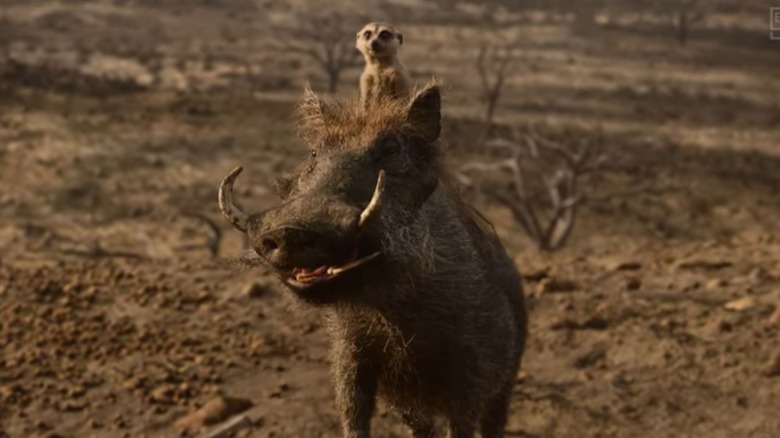 Timon and Pumbaa in 2019's The Lion King