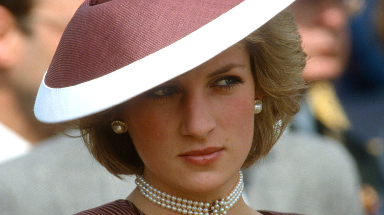 Princess Diana looks unconvinced